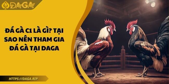 đá gà C1