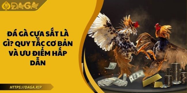 Đá gà cựa sắt