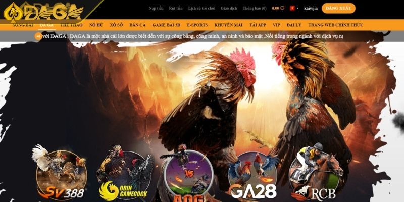 Đá Gà C1 Là Gì? Tại Sao Nên Tham Gia Đá Gà Tại DAGA 3 Lý do nên chọn DAGA để xem đá gà C1