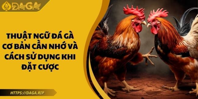 thuật ngữ đá gà