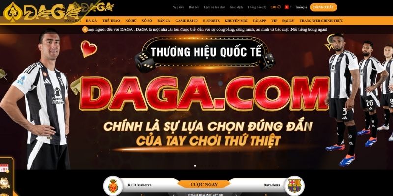 Điều Khoản Điều Kiện Daga Thông Tin Cần Biết Đảm Bảo An Toàn 1 Tổng quan về điều khoản điều kiện DAGA